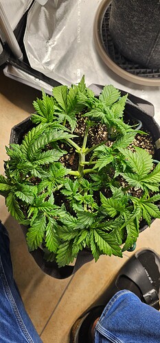 Growreport Bild 16