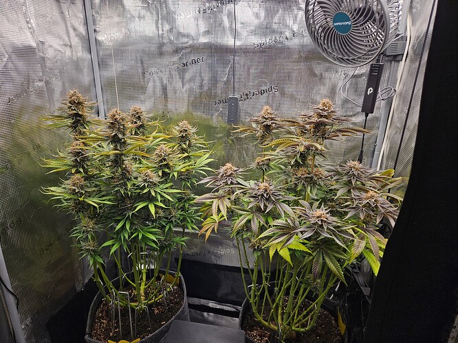 Growreport Bild 16