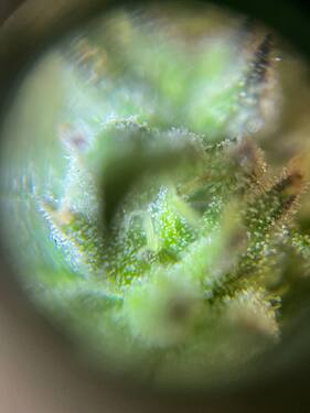 photo_2024-10-13_13-09-22