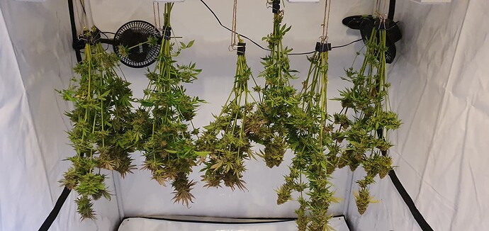 Growreport Bild 5