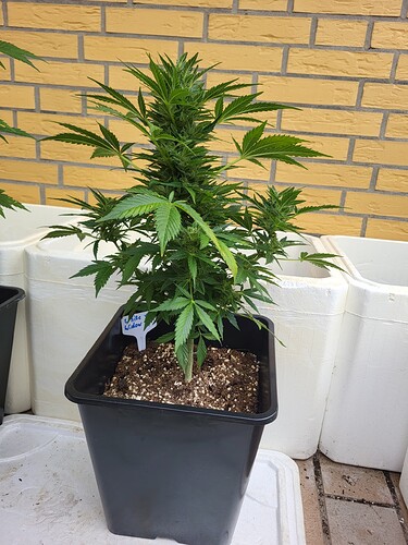 Growreport Bild 11
