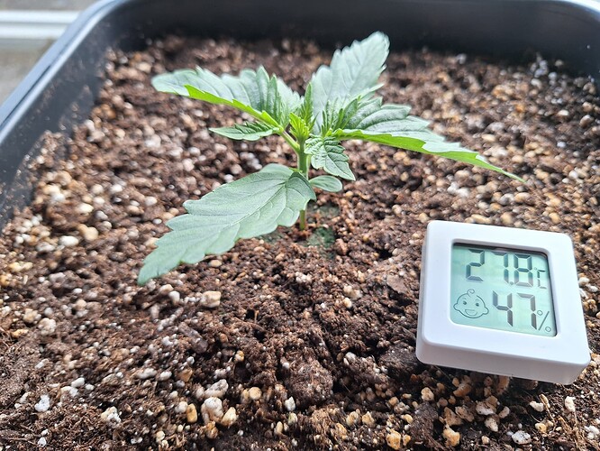 Growreport Bild 2