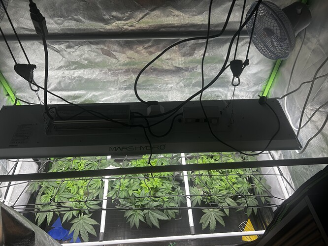 Growreport Bild 15