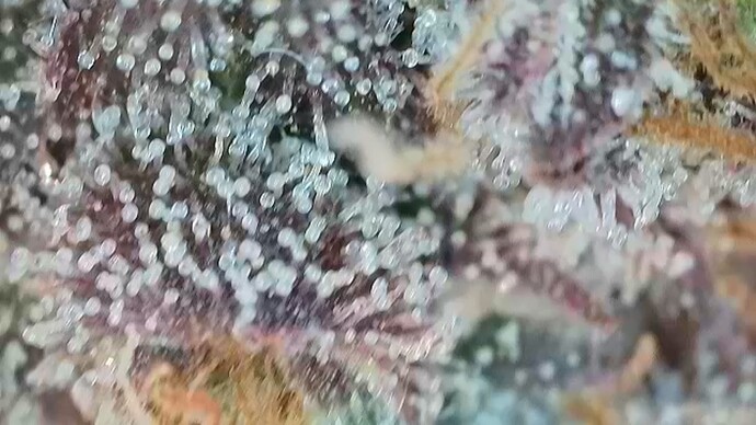 Growreport Bild 8