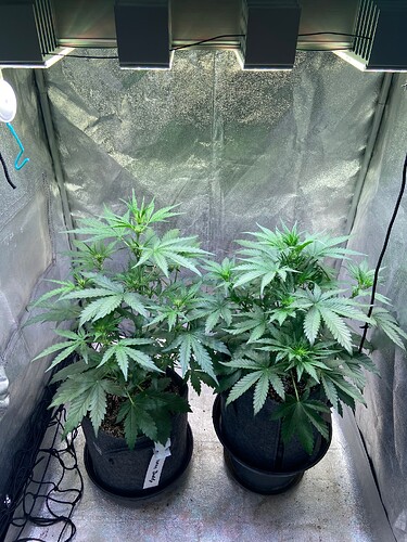 Growreport Bild 9