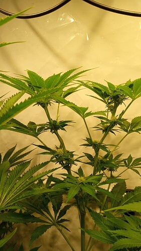 Growreport Bild 15