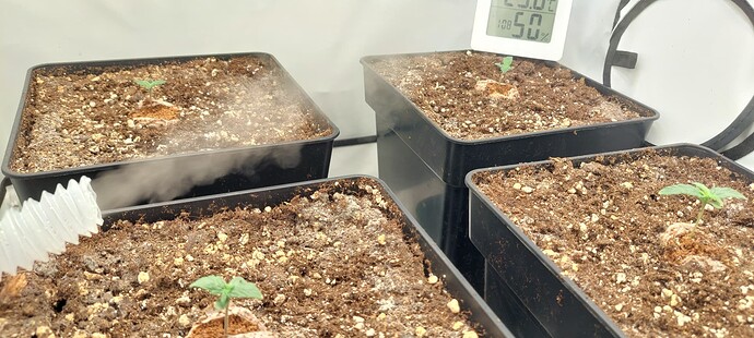 Growreport Bild 2