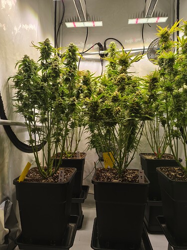 Growreport Bild 22