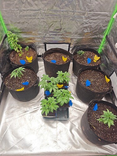 Growreport Bild 28