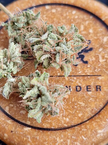 Growreport Bild 20