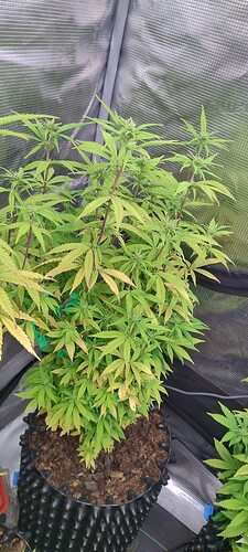 IMG_20251116_221105390_HDR