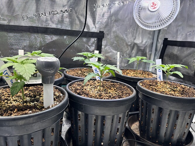 Growreport Bild 5