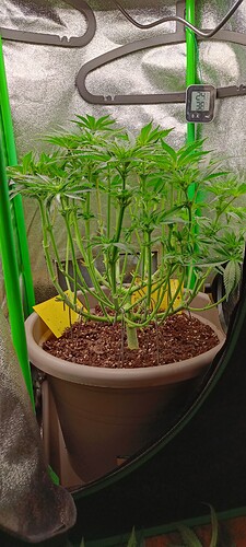 Growreport Bild 8