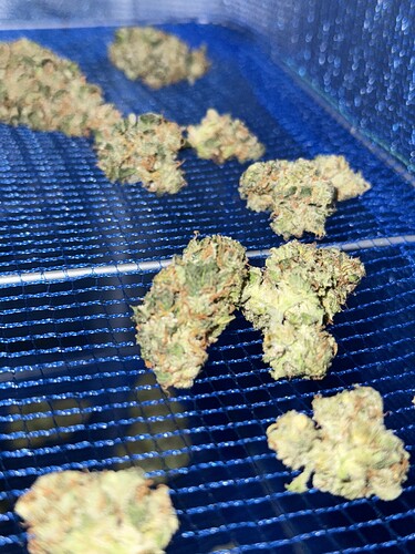 Growreport Bild 47