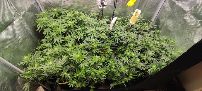 Growreport Bild 19