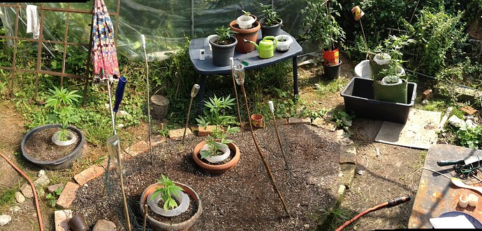 Growreport Bild 24