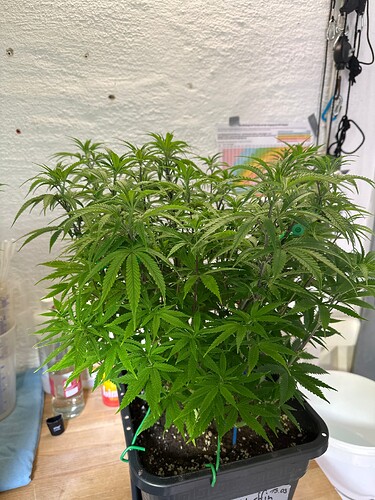 Growreport Bild 21
