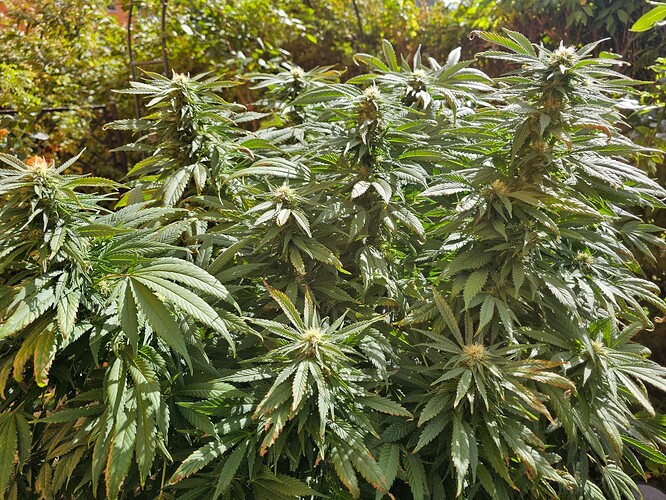 Growreport Bild 10