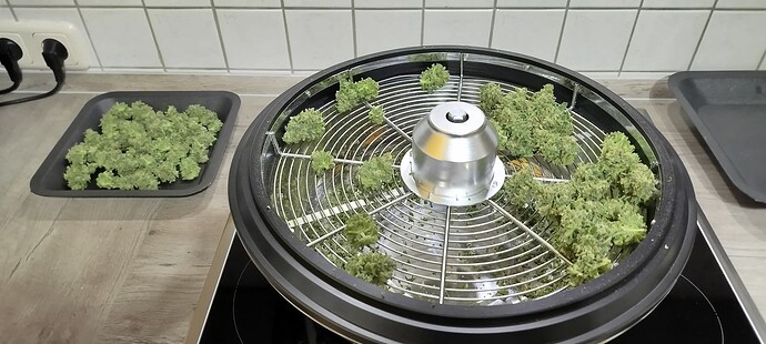 Growreport Bild 4