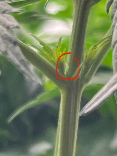 Growreport Bild 6