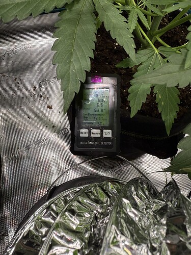 Growreport Bild 21
