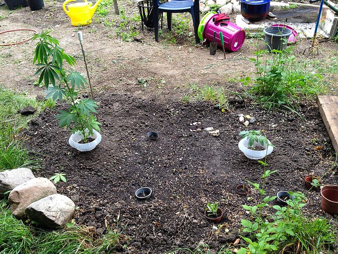 Grow25_0524_15