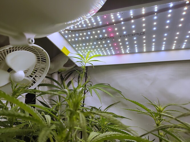 Growreport Bild 15