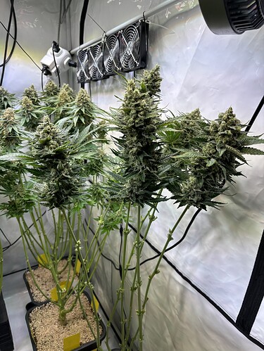 Growreport Bild 23