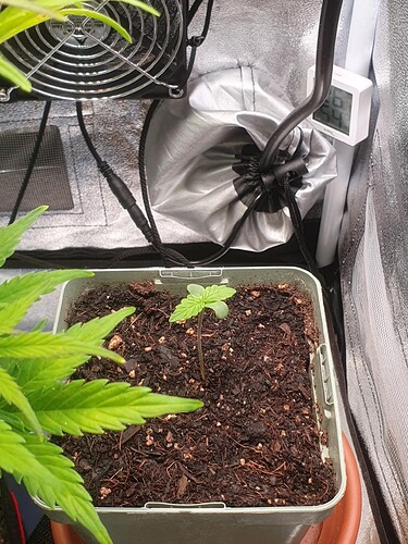 Tag 4 l-2025-06-17-201848_004