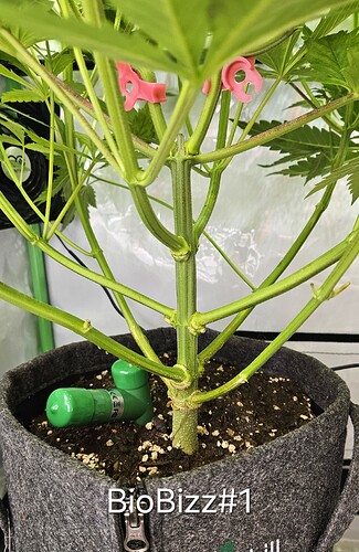 Growreport Bild 10