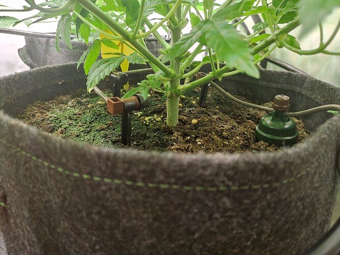 Growreport Bild 6