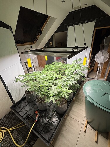 Growreport Bild 30