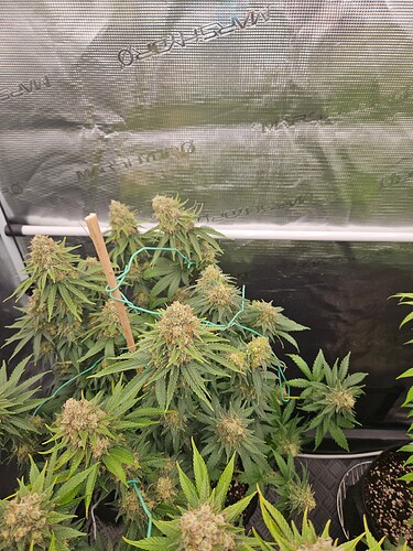 Growreport Bild 18