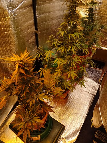 Growreport Bild 7