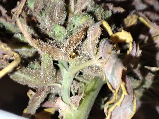 Growreport Bild 15