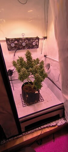 Growreport Bild 46