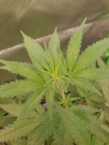 Growreport Bild 3