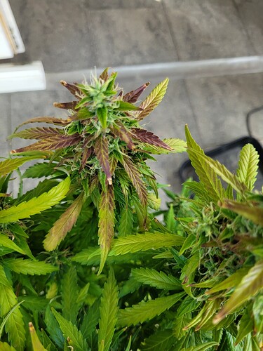 Growreport Bild 10
