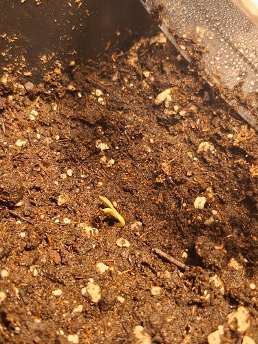 Growreport Bild 2
