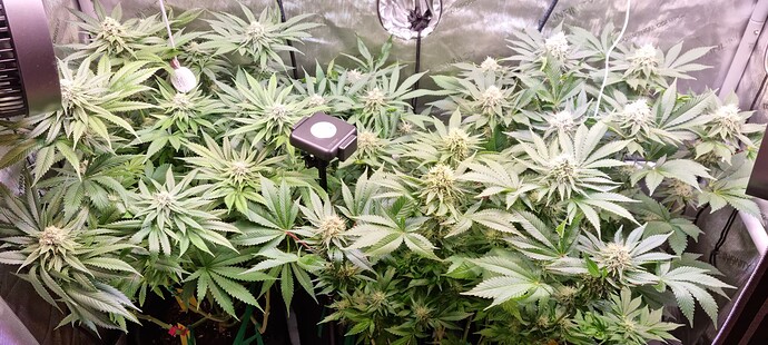 Growreport Bild 10