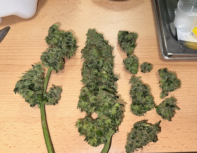 Growreport Bild 29