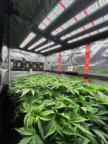 Growreport Bild 10