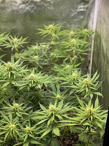 Growreport Bild 24