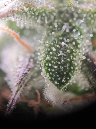 MVIMG_20251112_213237