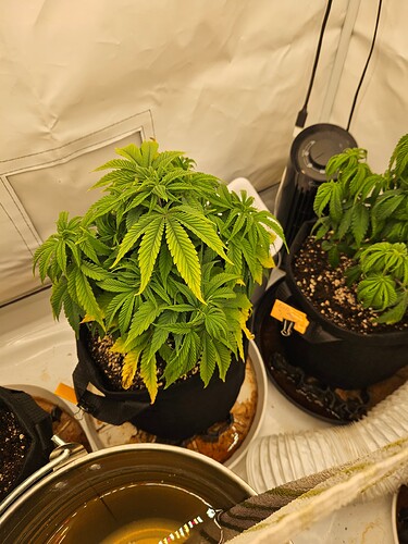 Growreport Bild 6