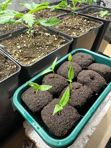 Growreport Bild 16
