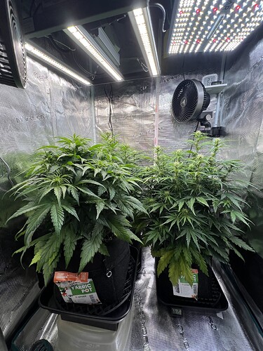 Growreport Bild 12