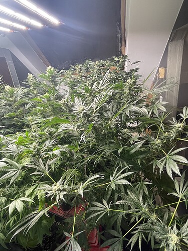 Growreport Bild 14