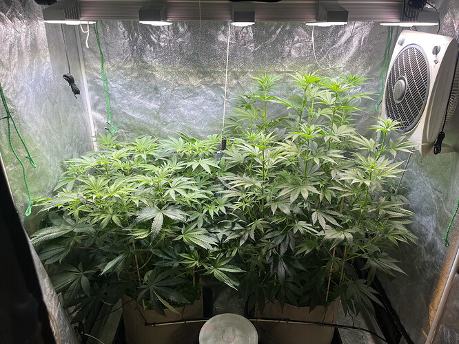 Growreport Bild 1