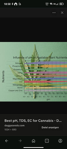 Growreport Bild 38